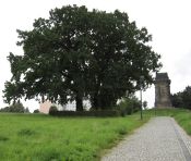 Areal Bismarcksäule (Isabel Schellenberger)