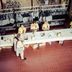 DSC_6388